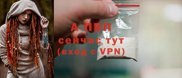 мдпв Каменка